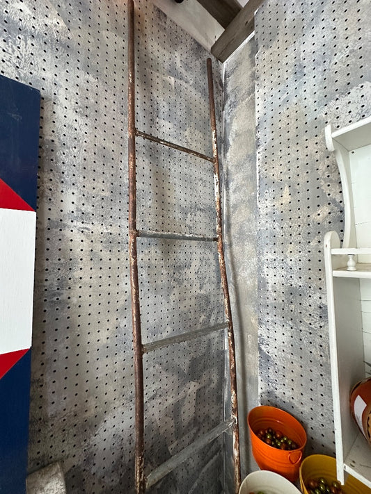 Old metal ladder