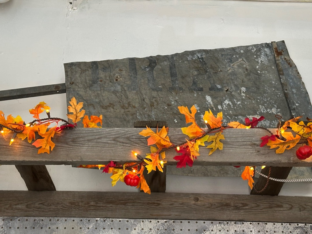 Aerial Windmill Tail