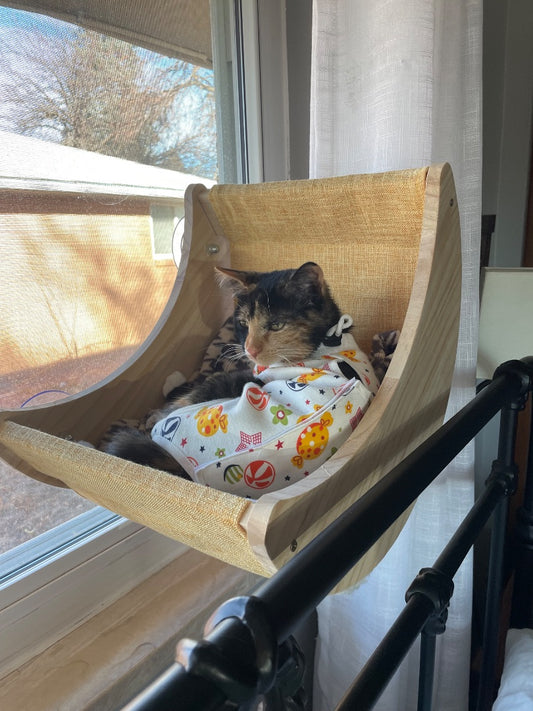 Yellow  Cat bed