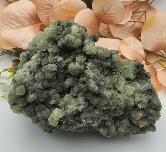 Large Prehnite Statement Piece Stones