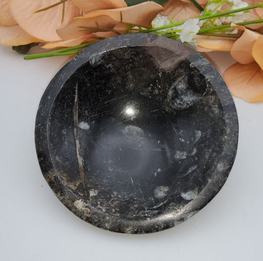 Orthoceras Bowl Stones