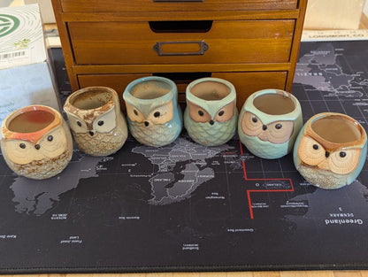 Owl planters