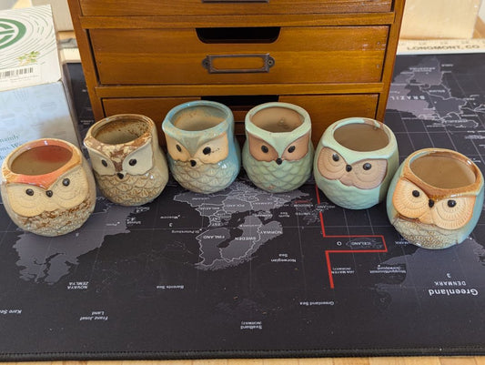 Owl planters