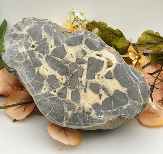 Rough Cut Septarian Dragons Egg Stones