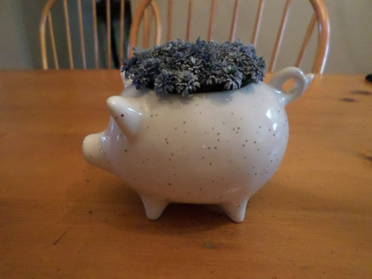 Ceramic Pig Planter