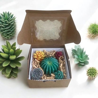 various Cactus Whisper Succulent Wax Melts 4oz