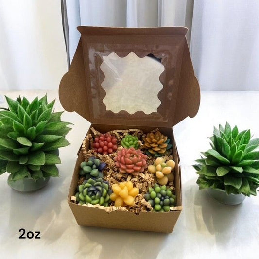 Varies Warm Terrain Succulent Wax Melts 2oz