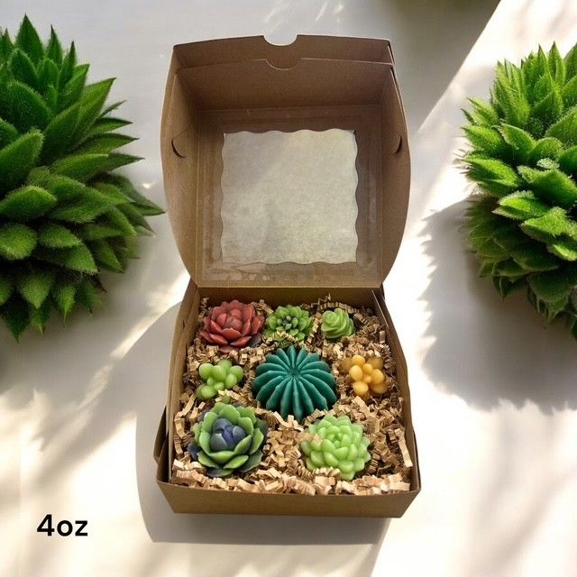 various Tropic Blast Succulent Wax Melts 2oz