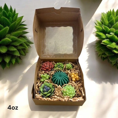 Varies Warm Terrain Succulent Wax Melts 4oz