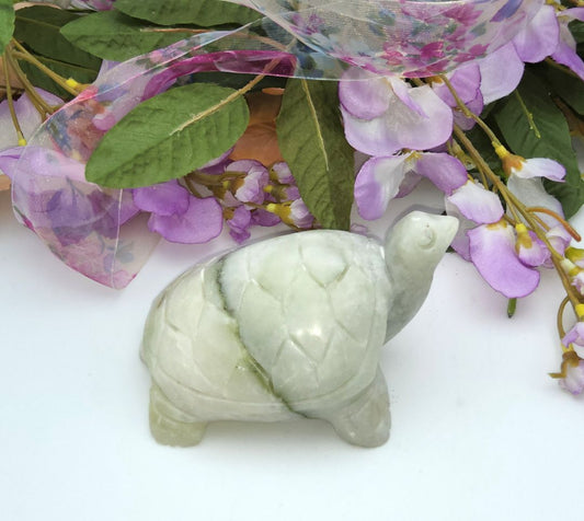 Jade Turtle Stones