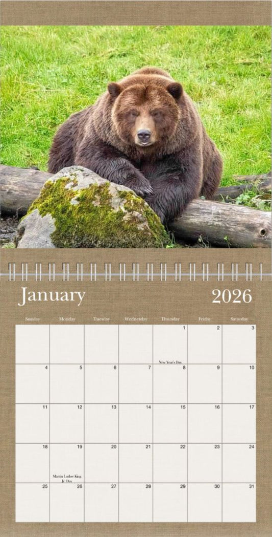 Wild Wonders 2026 Calendar Artisan, 12 x 12