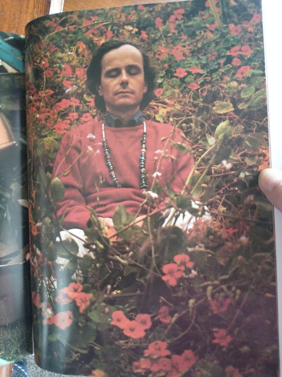 Aquarian Odyssey paperback book