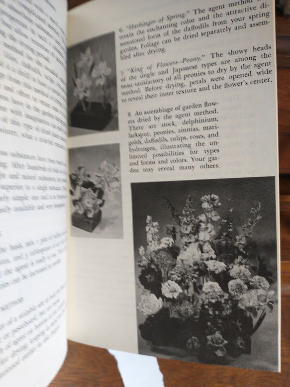 Handbook Dried Arrangements hardcover