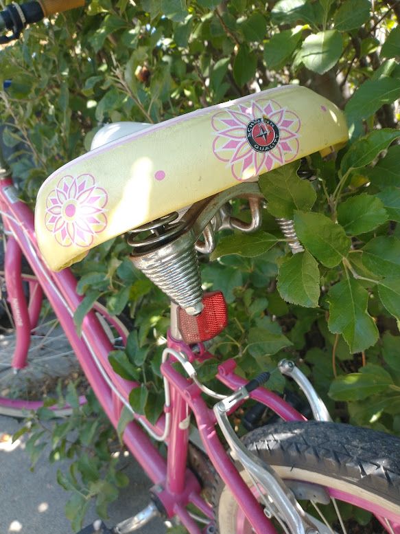 Schwinn Lulu Bike