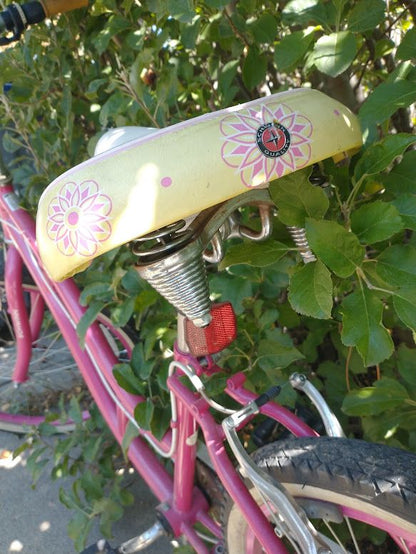 Schwinn Lulu Bike