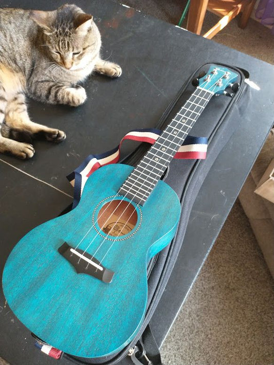 Blue Mahogany Enya Ukulele w/gig bag