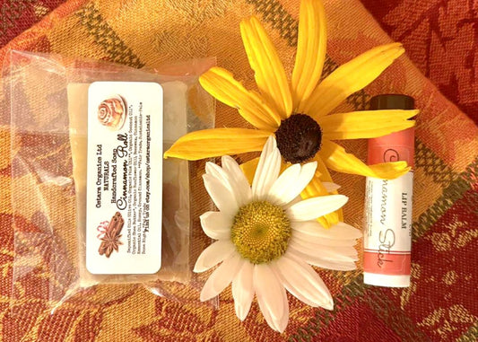 Ostara Organics Ltd LLC Fall Mini Spa