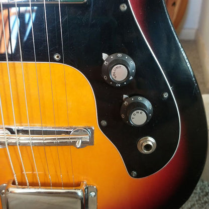 Vintage Electric Guitar Global