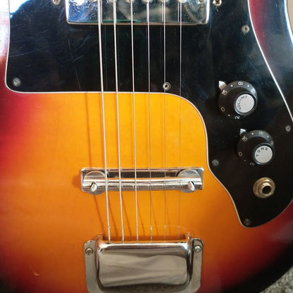 Vintage Electric Guitar Global