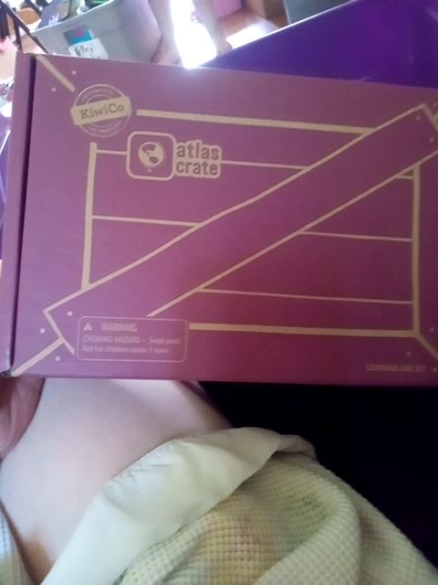 New atlas kiwi co box