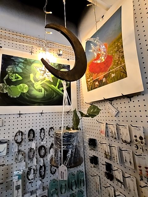 Design to the Maxx Wooden Plant Hanger