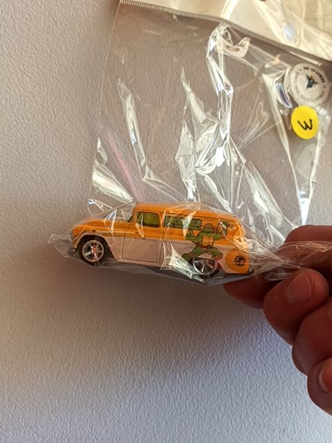 Turtle car