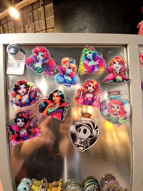 Assorted Acrylic Large Magnets