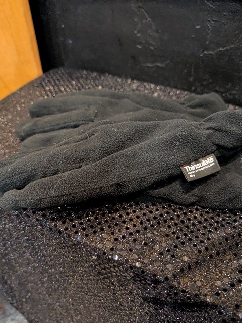 Thinsulate Gloves