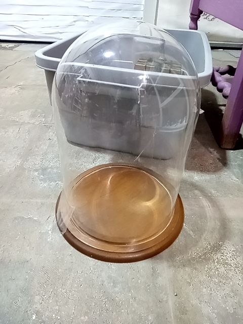 Glass dome case