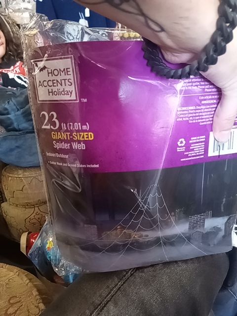 New giant spider web decor