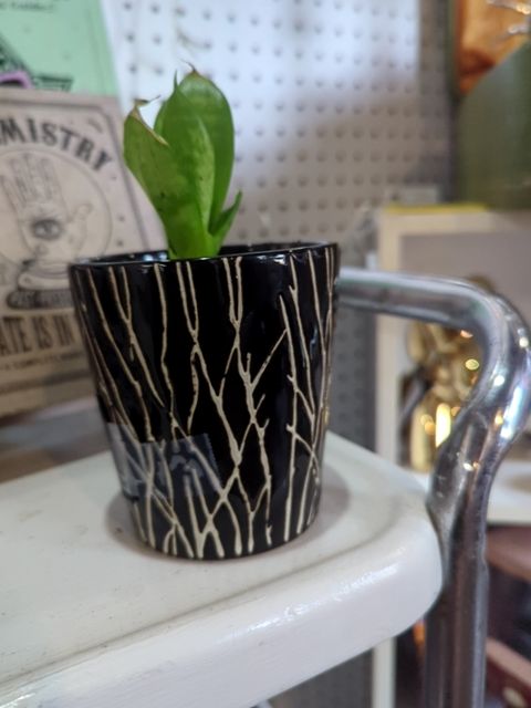 #103 Cute Plant in Horizontal Lines