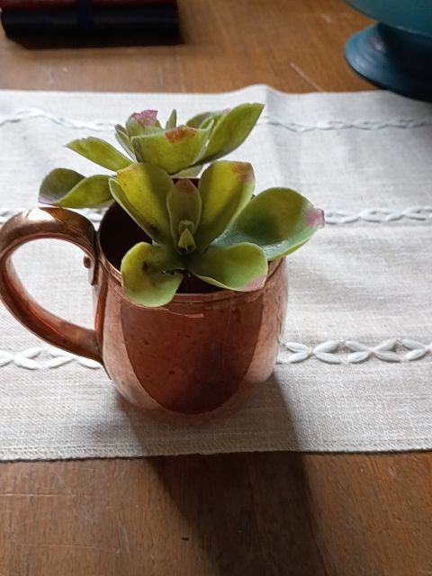Copper mug, faux succulents
