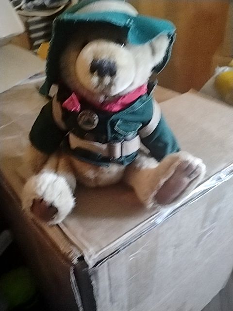 Tan/lt brown/Green  Ranger Rex Bear