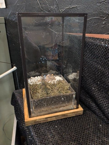 Small Terrarium