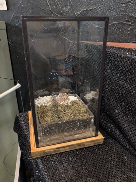 Small Terrarium