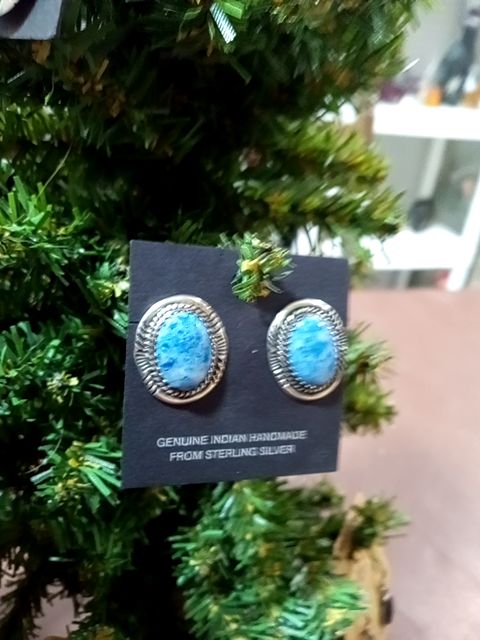 Sterling silver small NA earrings