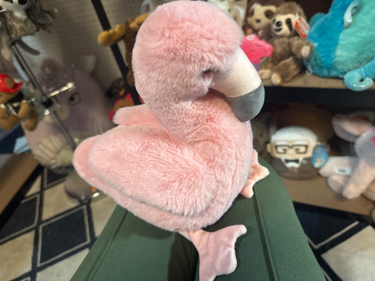 Douglas (C) Flamingo