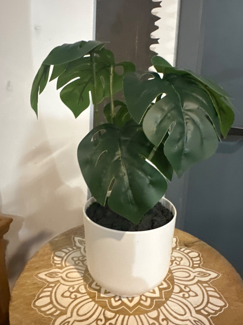 Faux Monstera Plant