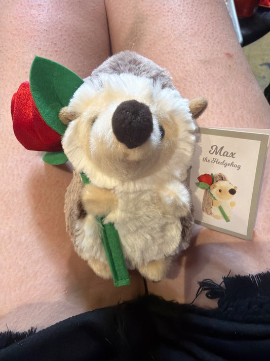 Aurora Max the Hedgehog