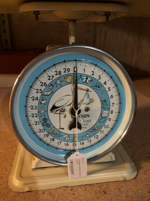 Vintage Hanson Nursery Scale