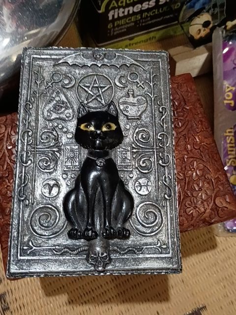 Halloween black cat box