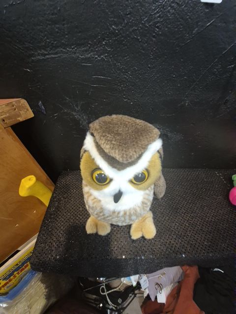 Brown & Tan  Great Horned Owl Plushie, 11"