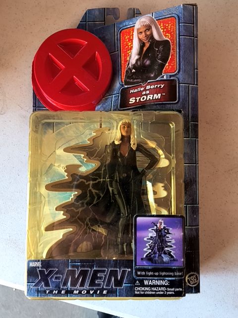 X-Men the movie storm