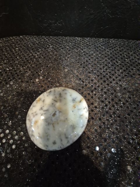 Dendratic Agate Palm Stone, Wht, Blk, Brn