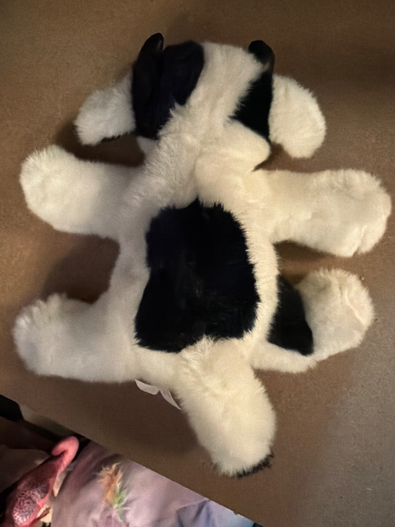 Frontier Airlines “Cammie” Cow