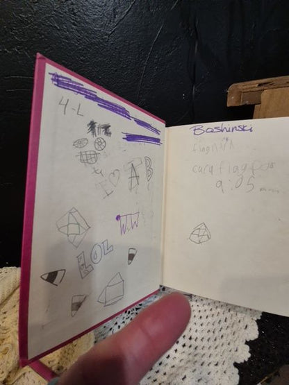 Rachael Renée Russell Dork Diaries, 6" × 8.25"