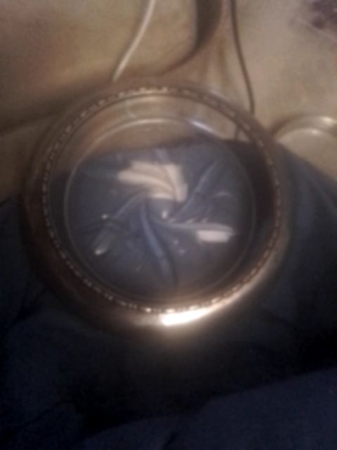 Collectible large  Amston sterling & etched glass dish