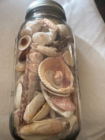 Shells in ball glass