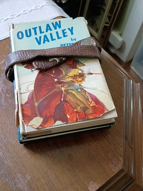 Vintage set of 2 western books leather strap