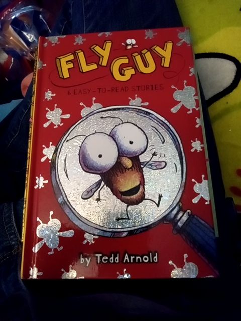 New fly guy ready to read set